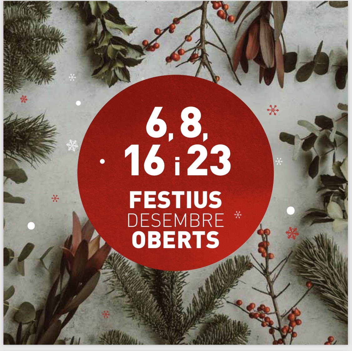 6,8,16 i 23 FESTIUS XMAS OBERTS