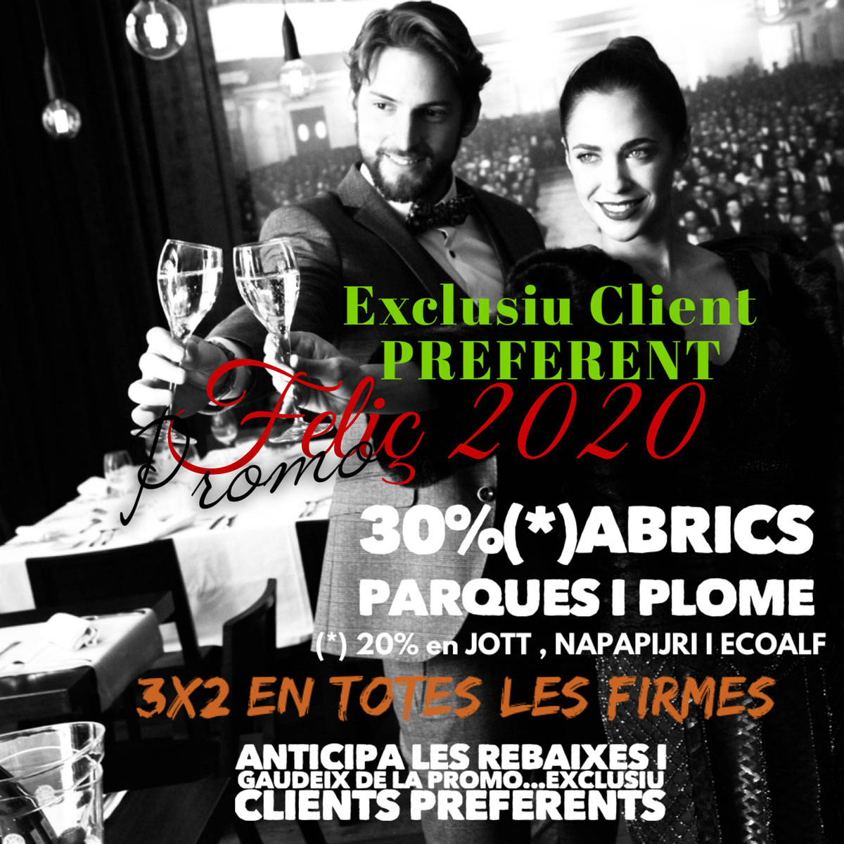 Promo FELIÇ 2020 : 30%(*) DESCOMPTE EN PARQUES, ABRICS I PLOMES. 3x2 la RESTA ... Exclusiu Client Preferent