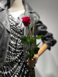 Sant Jordi