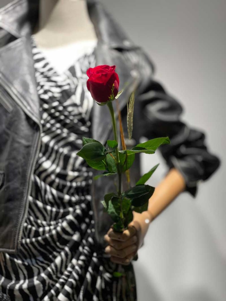 Sant Jordi